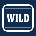 Wild-Symbol